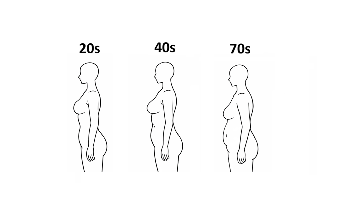体型の変化